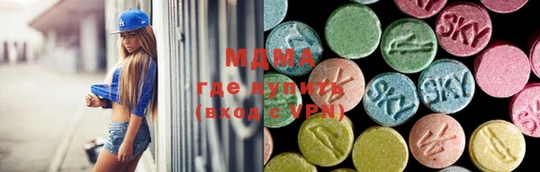 apvp Алзамай