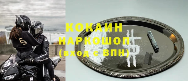 гашик Алексеевка