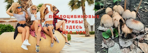 МДПВ Алексин