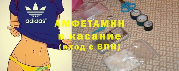 гашик Алексеевка