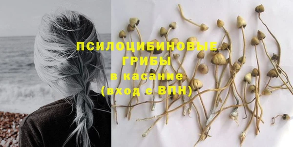 МДПВ Алексин