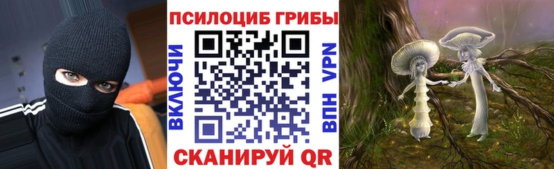 что такое наркотик  Вилючинск  Псилоцибиновые грибы мухоморы 